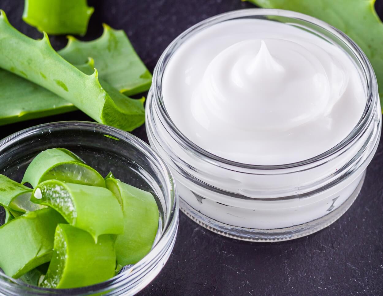 8 Bedste Aloe Vera Cremer i 2026
