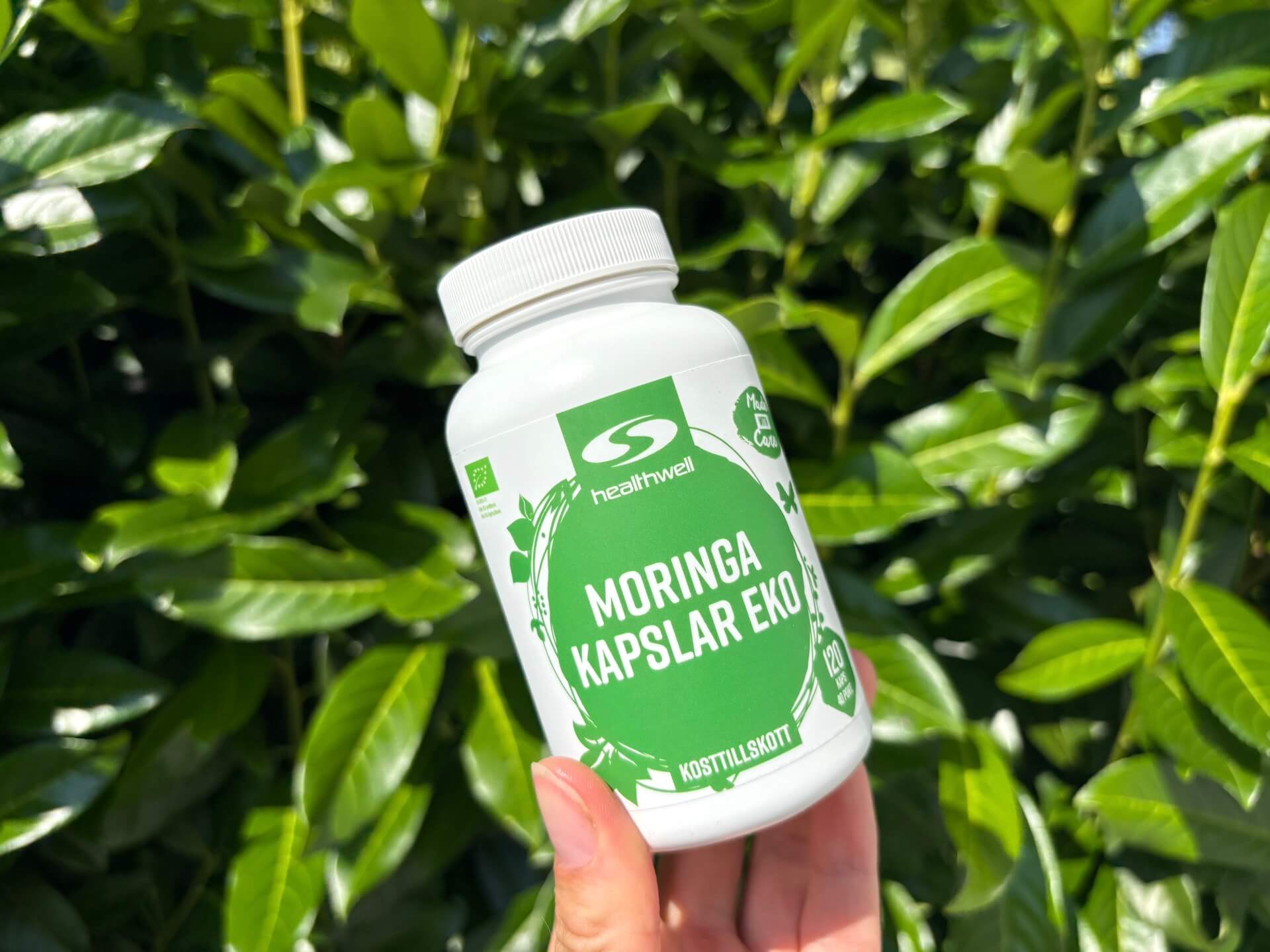 Bøtte med Healthwell Moringa Kapsler ØKO i hånd