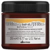 Davines NaturalTech Nourishing Vegetarian Miracle Mask 