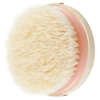 EcoTools Dry Body Brush 