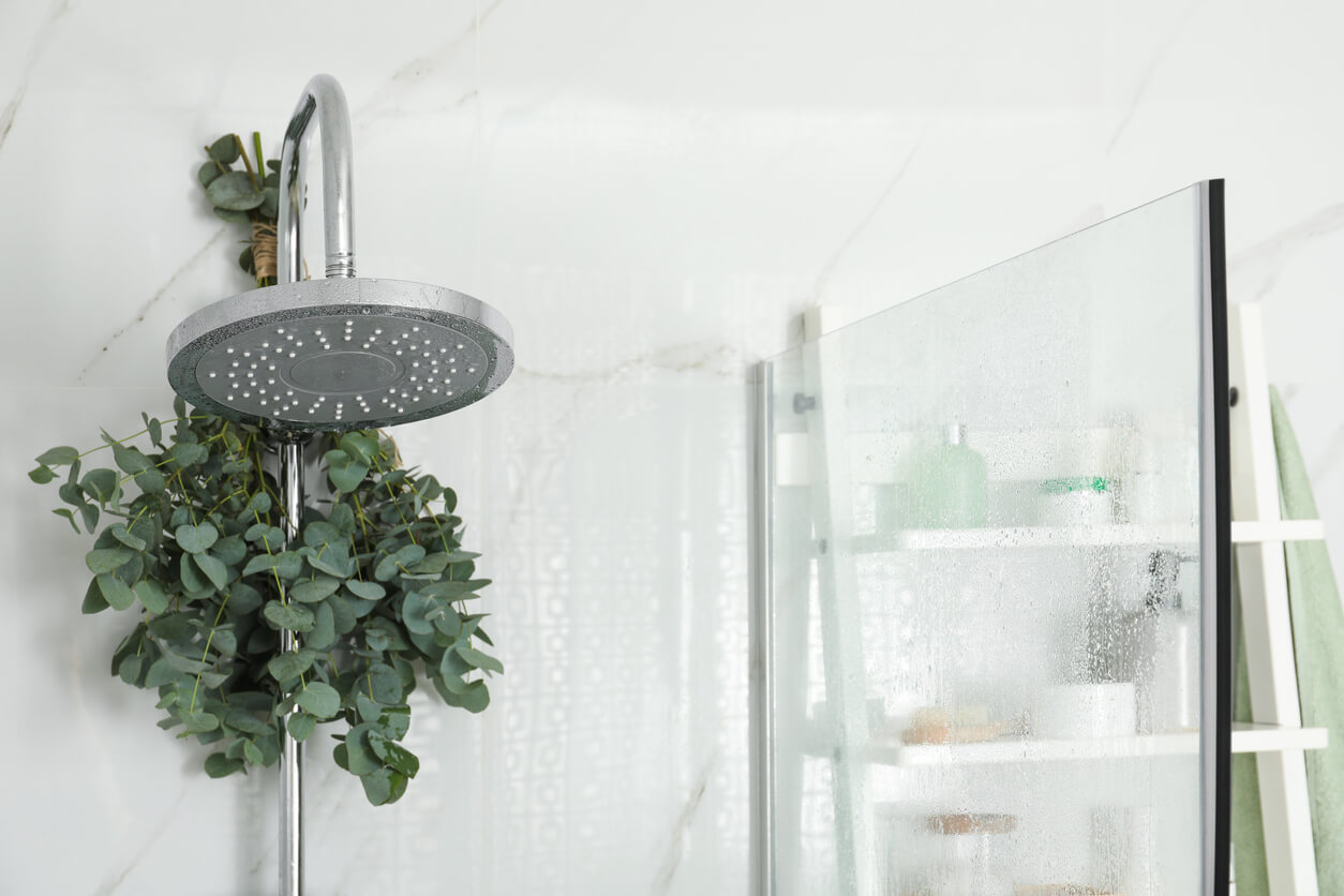 Eucalyptus blade hænger i bruseniche