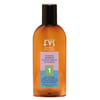 FVS Nr. 1 