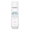 Goldwell Dualsenses Scalp Specialist Anti-Dandruff Shampoo 