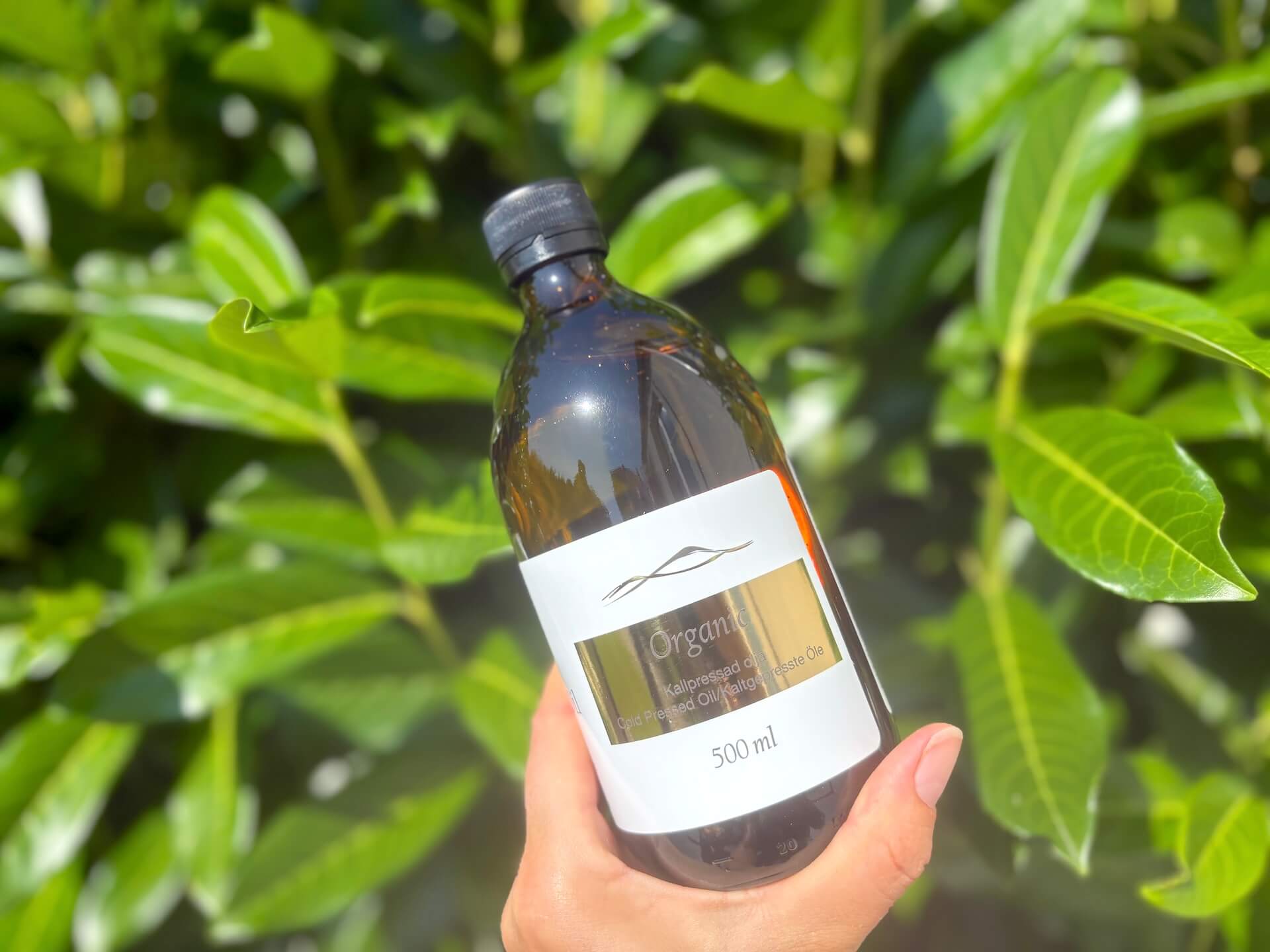 Healthwell PURE Ricinus Castor olie ØKO i hånd