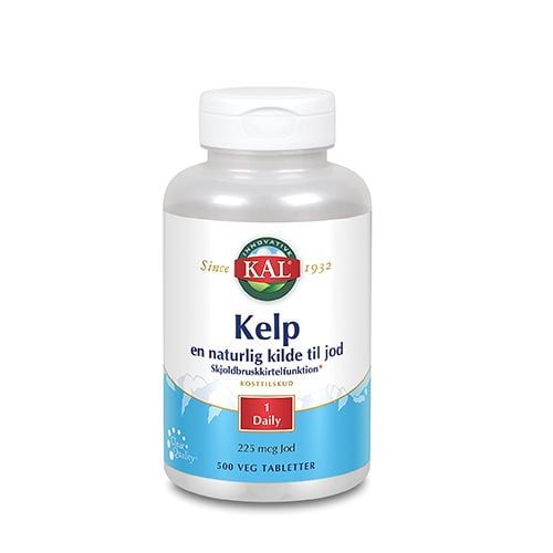 KAL Kelp 