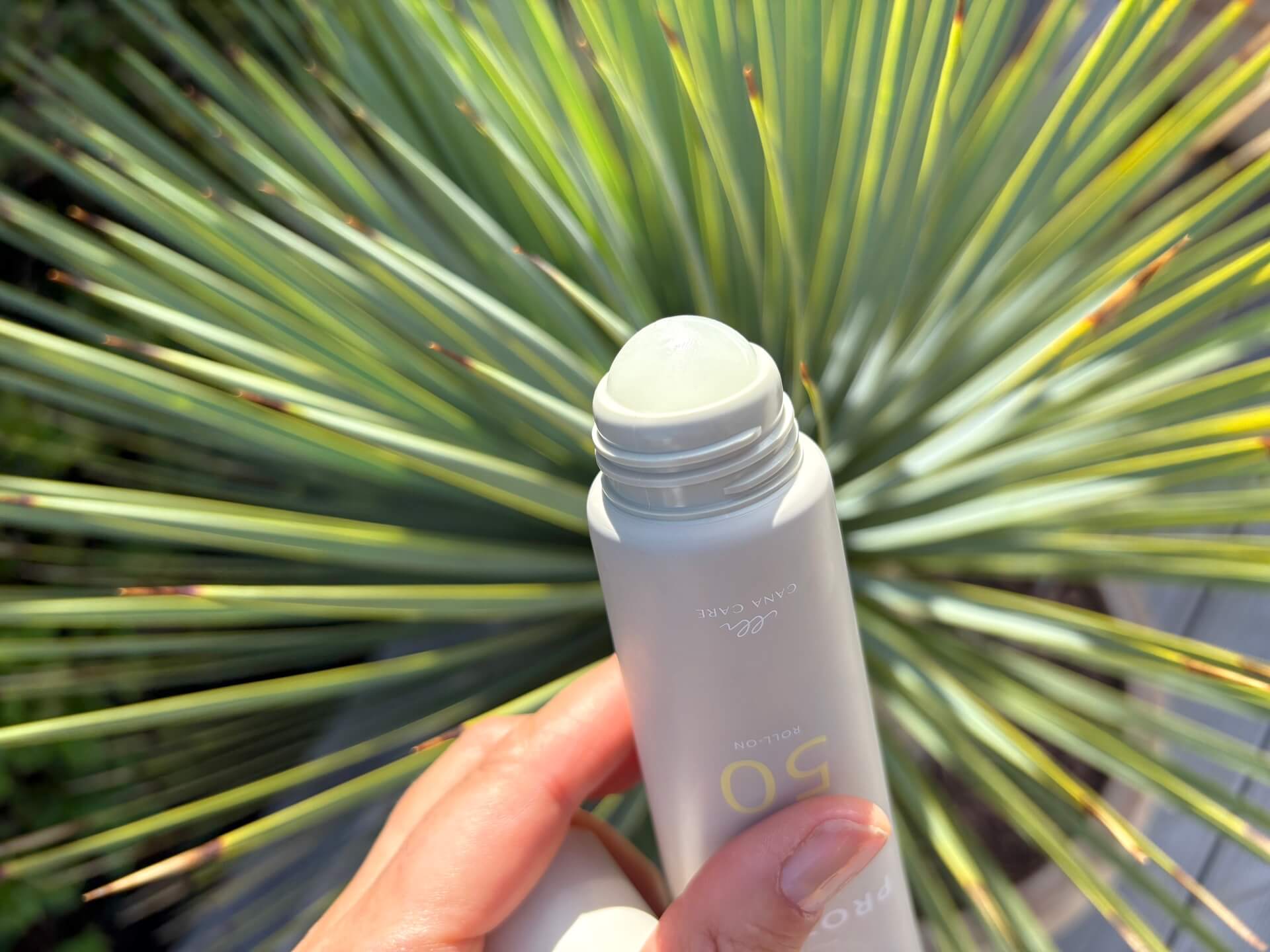 Kugle på toppen af Cana Care PROTECT Sun Lotion SPF 50 roll-on