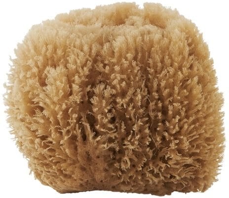 Meraki Sponge 