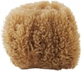 Meraki Sponge 