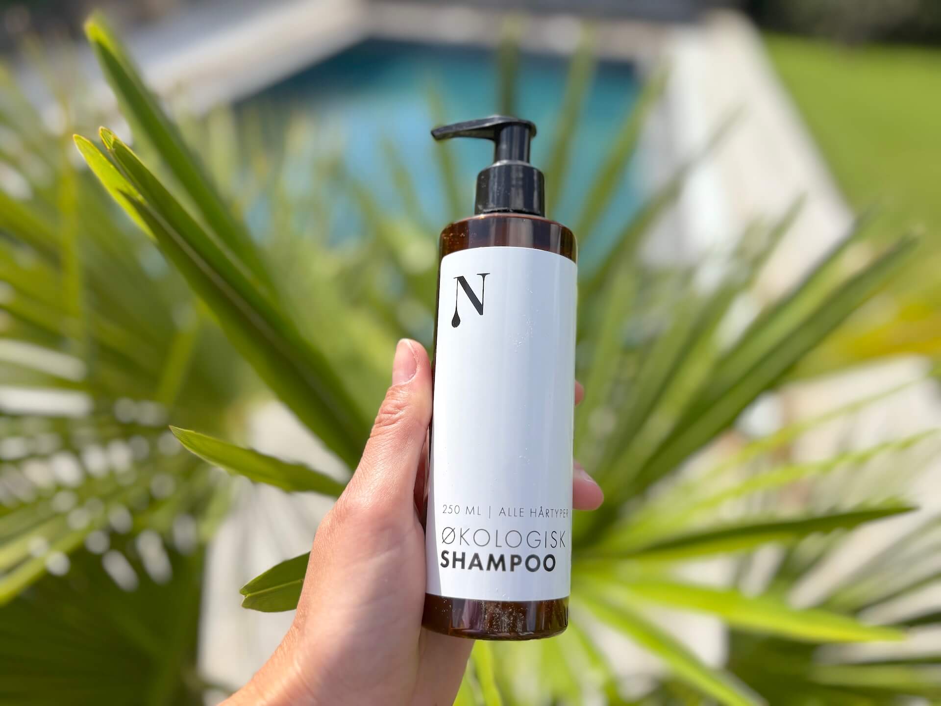 Naturligolie Shampoo i hånd over palme