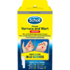 Scholl 