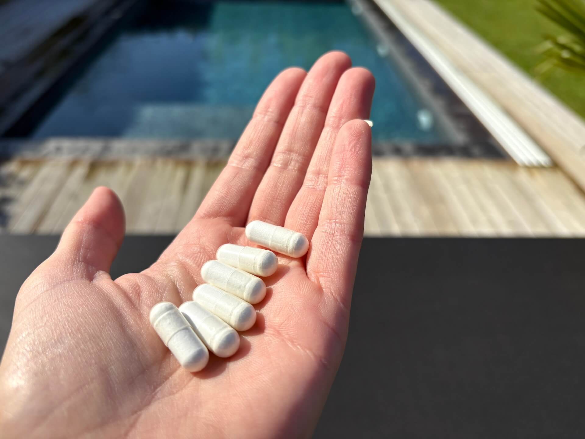 Seks kapsler Bodylab Creatine Capsules i hånd