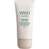 Shiseido WASO Color Control 