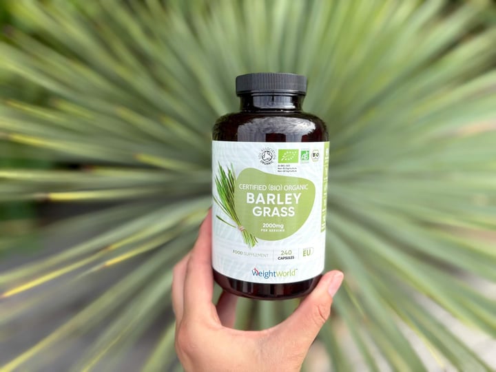 WeightWorld Barley Grass i hånd