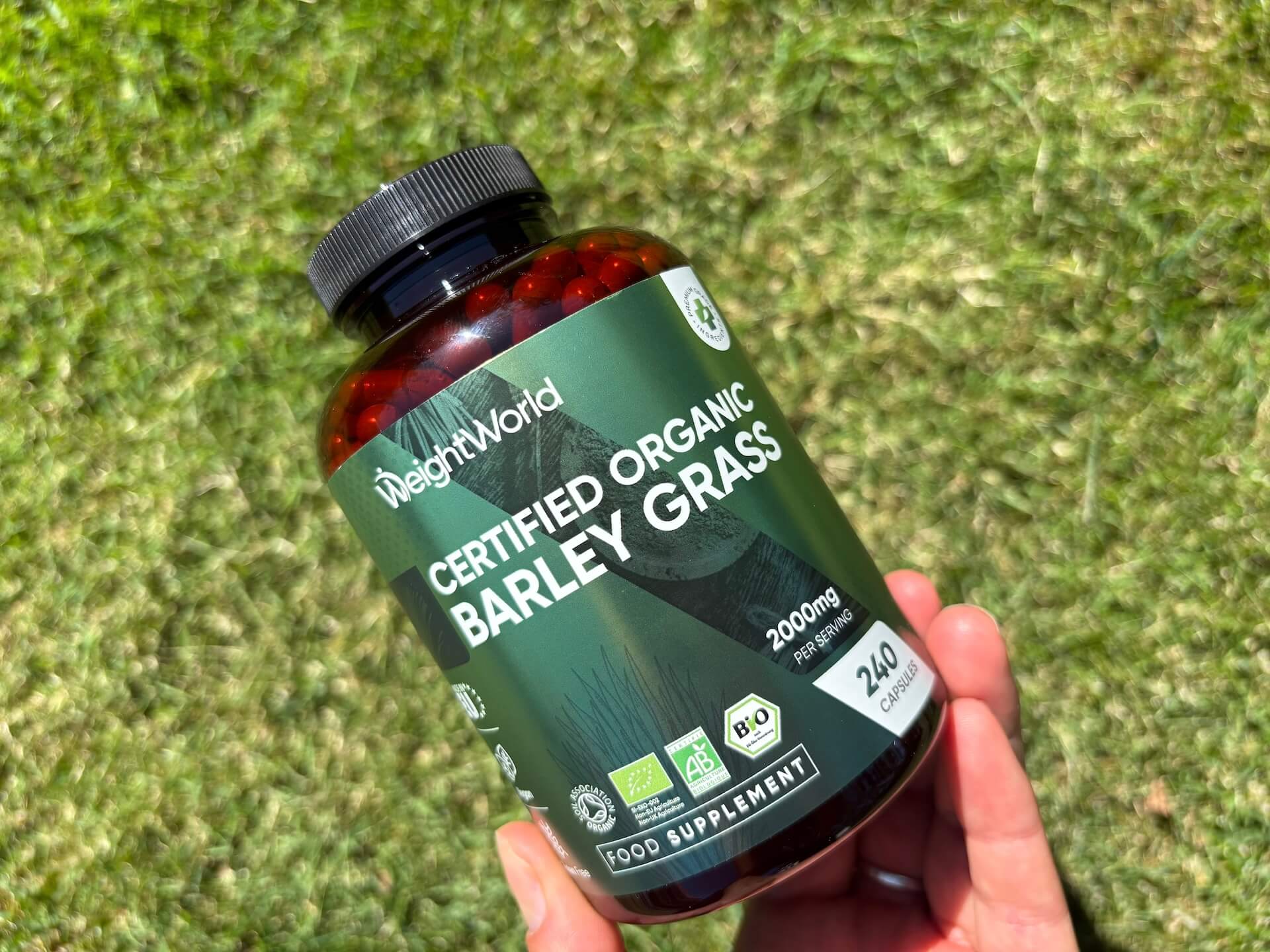 Weightworld Certified Organic Barley Grass i hånd