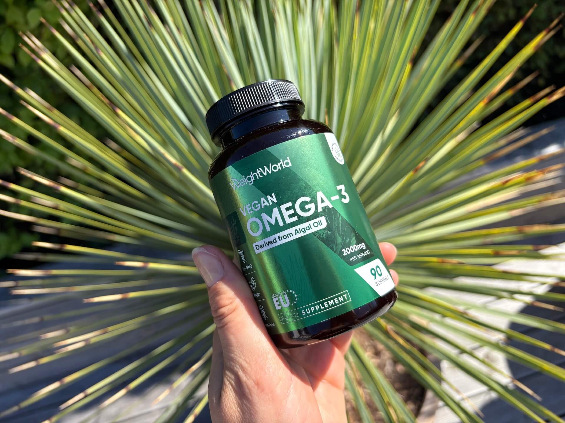 WeightWorld Vegan Omega-3 i hånd
